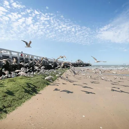 In With Marina View Blankenberge