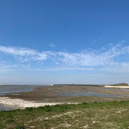 In With Marina View Daire